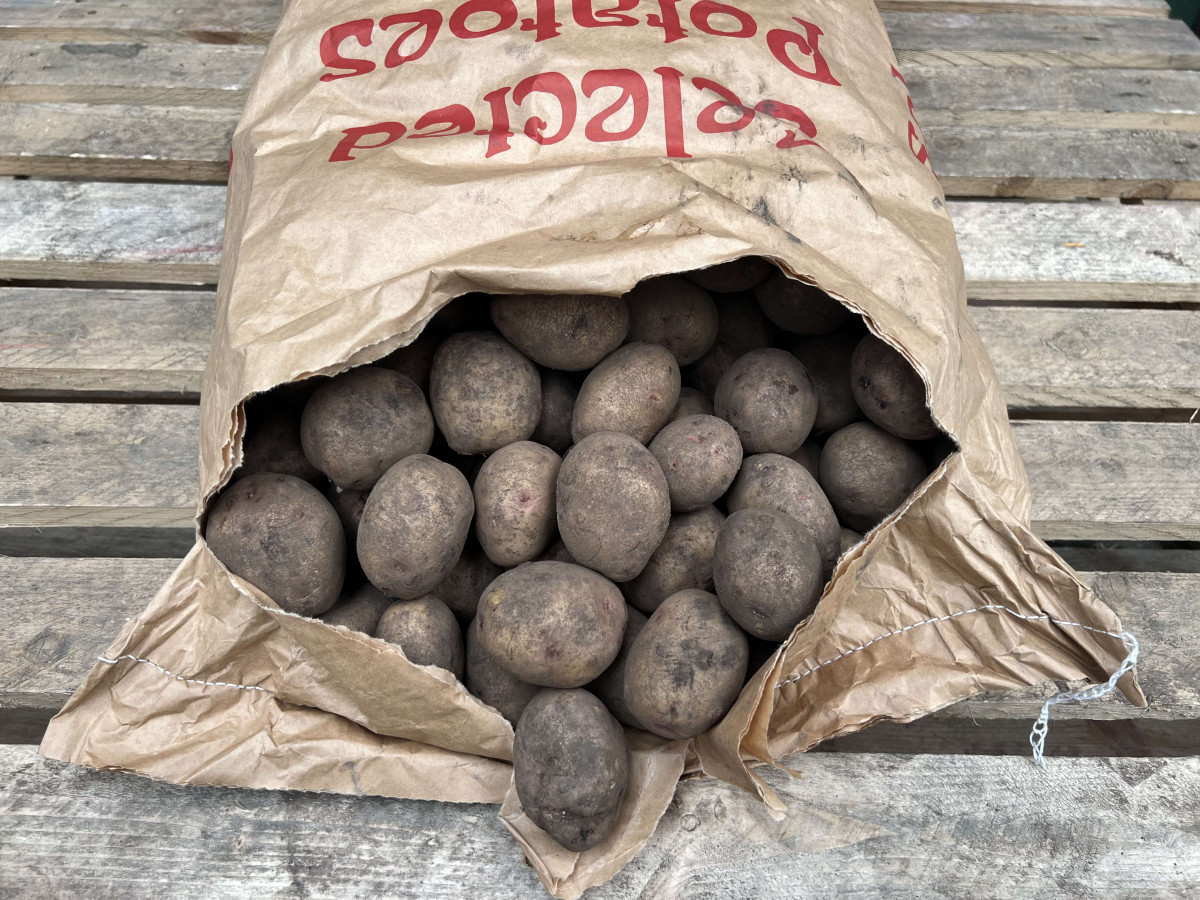 Product picture for Potatoes, Alouette - UK