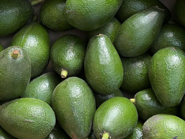Thumbnail image for Avocado