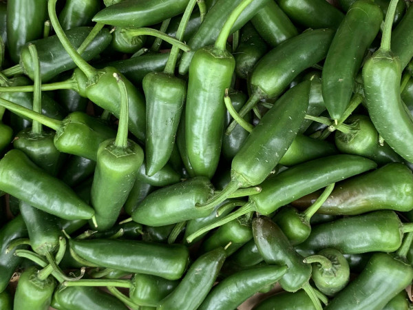 Thumbnail image for Jalapeno Chillis