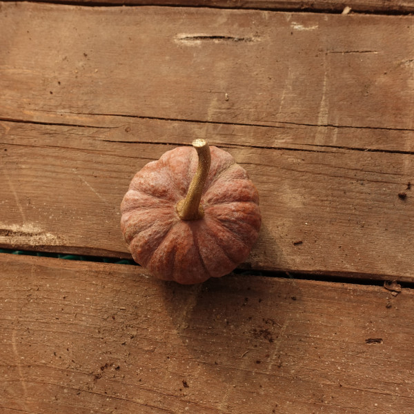 Thumbnail image for Squash, Winter - Black Futsu