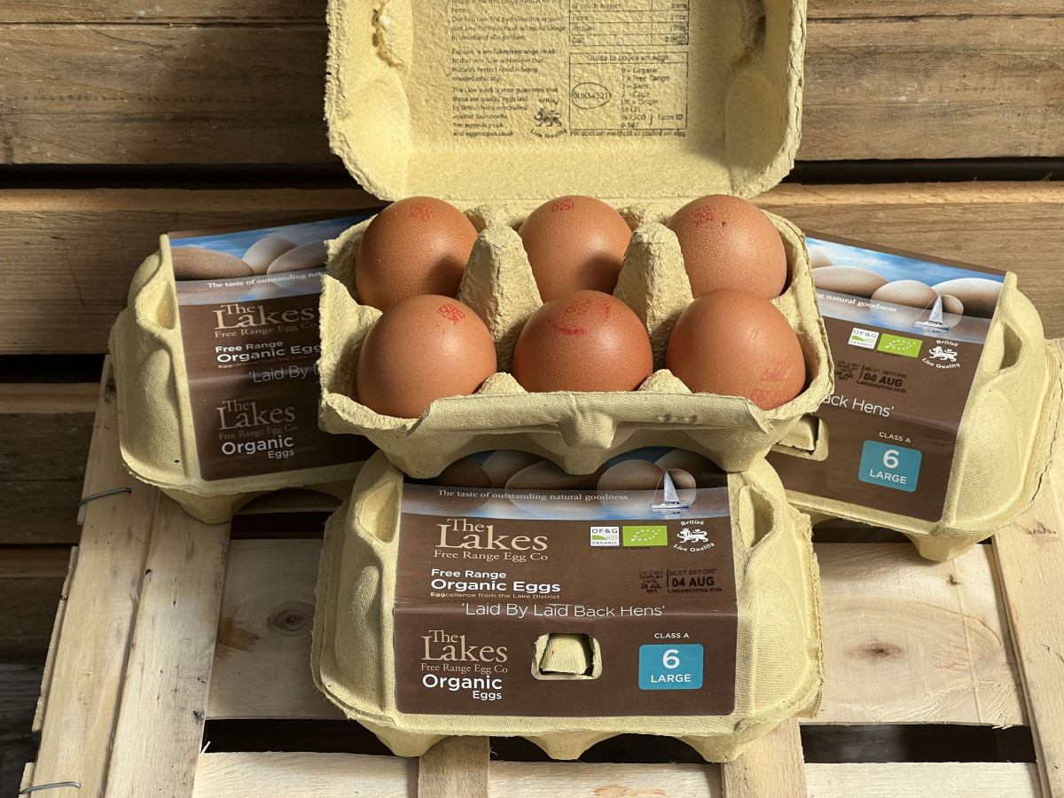 Product picture for Organic Eggs - 1 dozen Large eggs