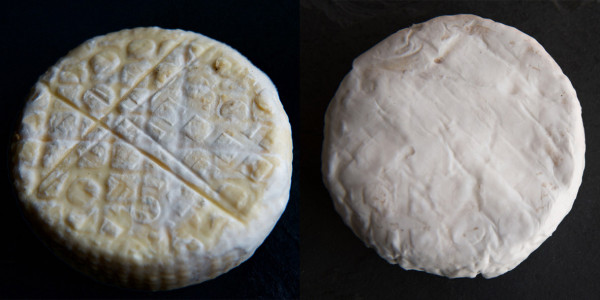 Thumbnail image for Helford Camembert