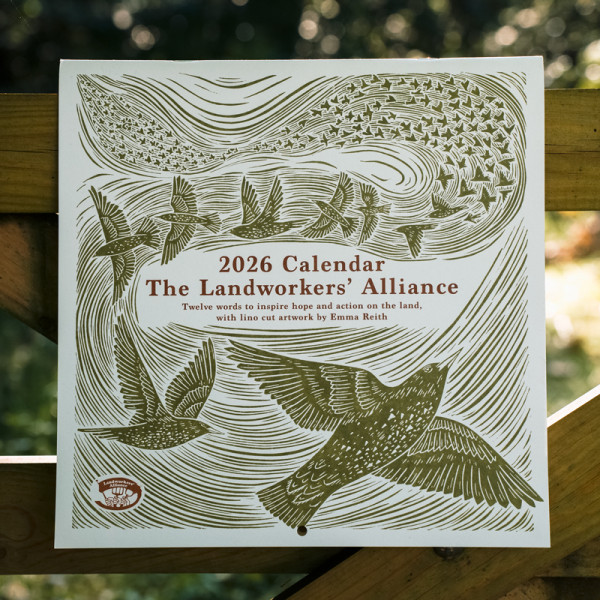 Thumbnail image for LWA 2026 calendar