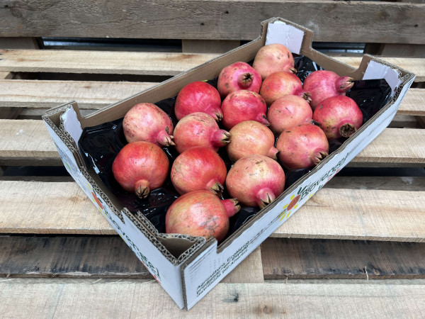 Thumbnail image for Pomegranate