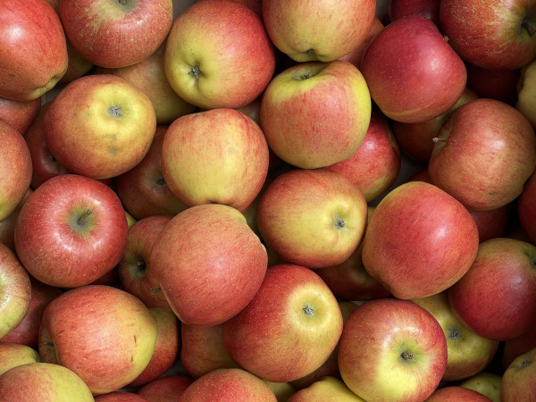 Thumbnail image for Apples - Braeburn