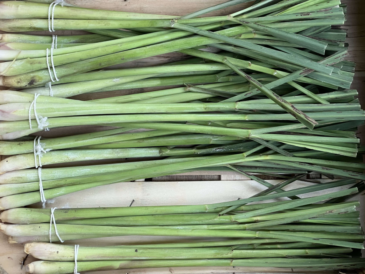 Product picture for Lemongrass