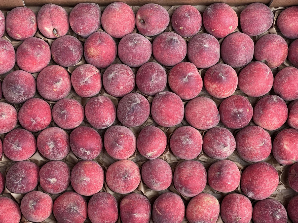 Product picture for Peach