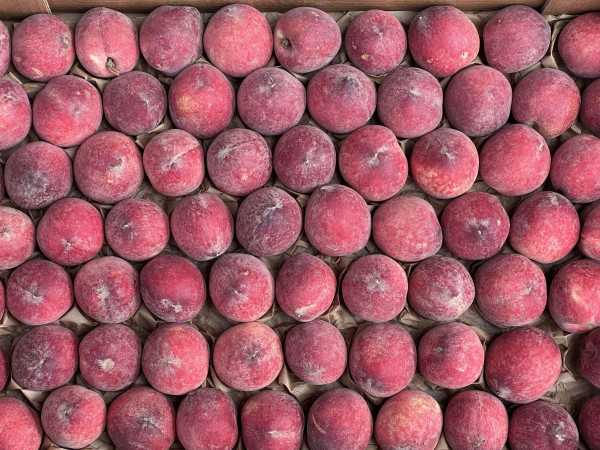 Thumbnail image for Peach