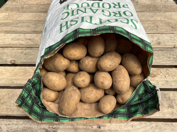 Thumbnail image for Potatoes, Twinner - UK