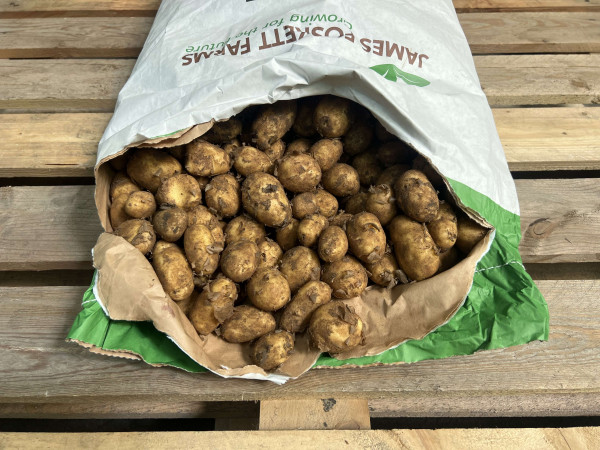 Thumbnail image for Potatoes, Empress
