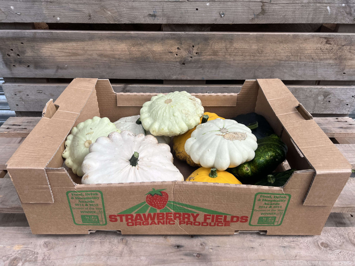 Product picture for Squash, Custard Mixed - UK