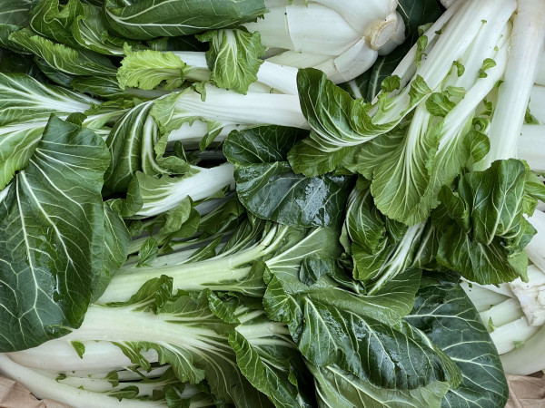 Thumbnail image for Pak choi