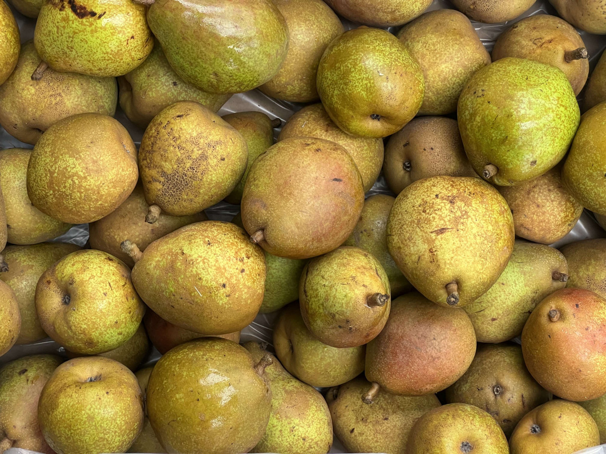 Product picture for Pear, Comice
