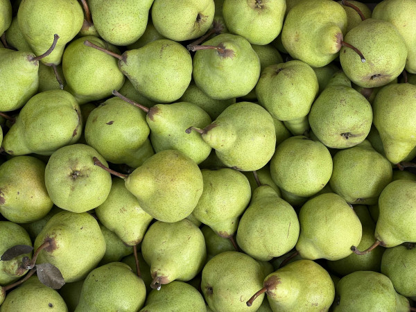 Thumbnail image for Pear Packham