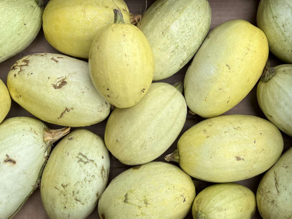 Thumbnail image for Squash, Spaghetti
