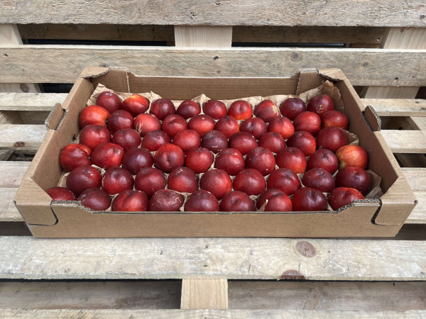 Thumbnail image for Nectarine