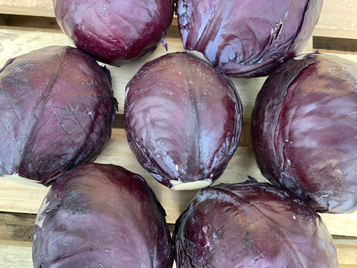 Product picture for Red Cabbage