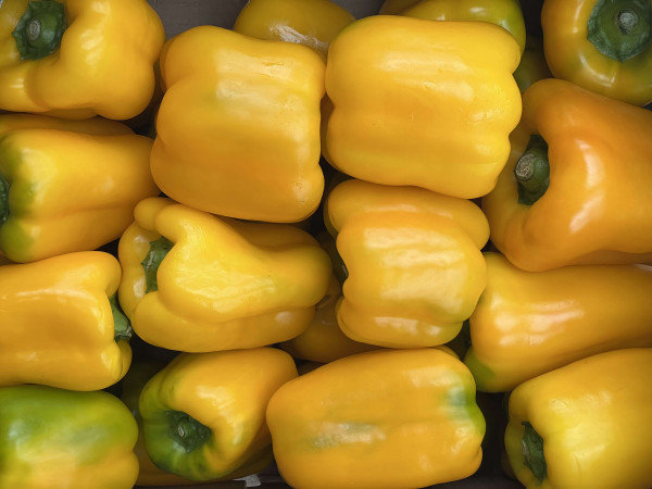 Thumbnail image for Yellow Pepper
