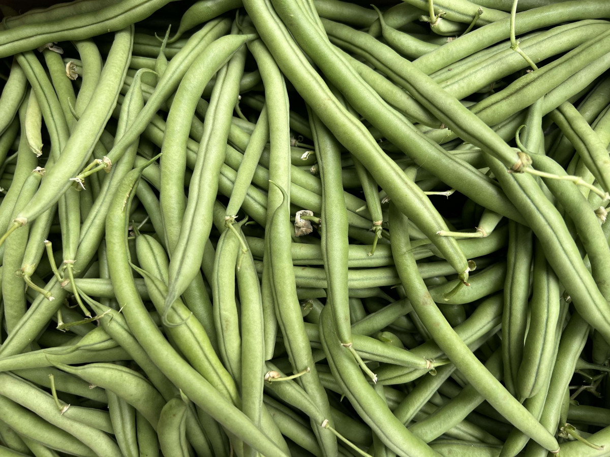 Product picture for French Green Beans