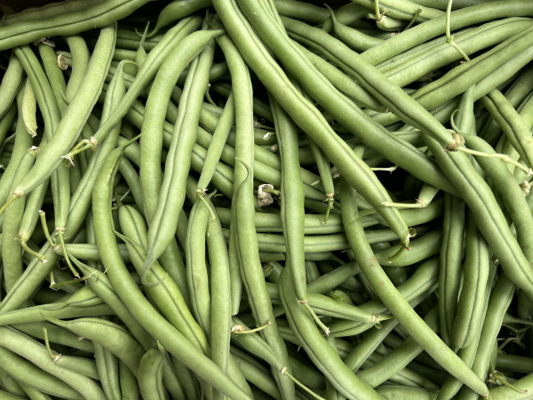Thumbnail image for French Green Beans