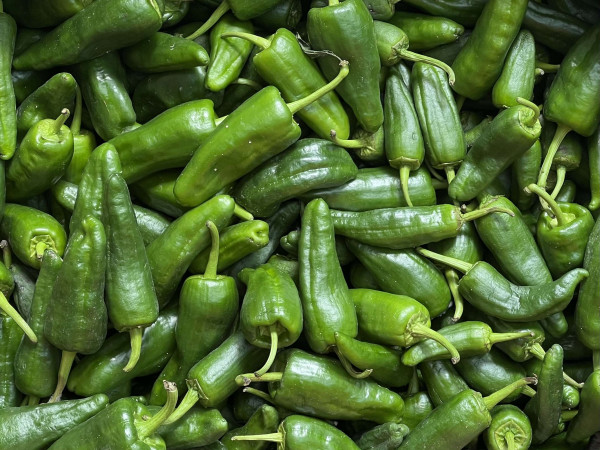 Thumbnail image for Pepper, Padron