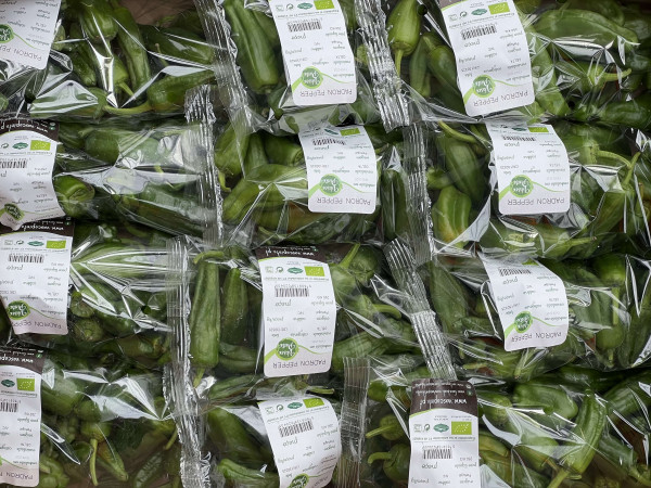 Thumbnail image for Pepper, Padron