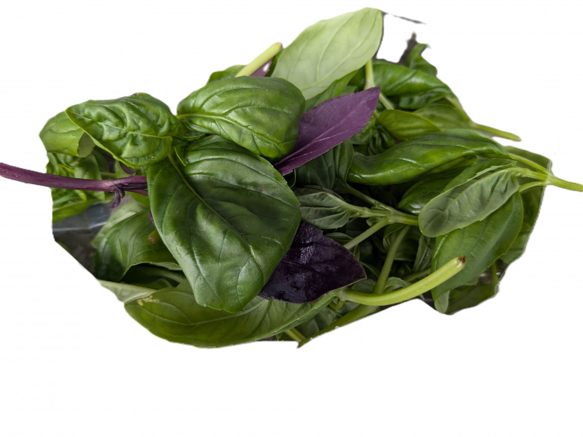 Product picture for Basil