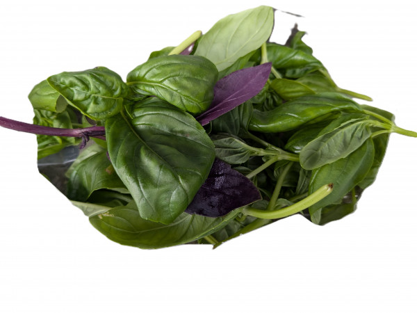 Thumbnail image for Basil
