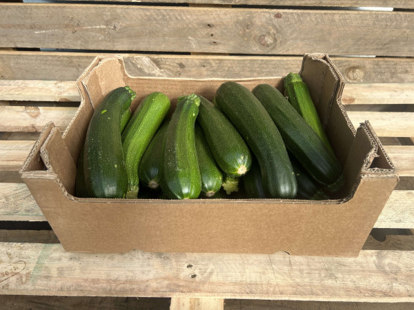 Thumbnail image for Courgette
