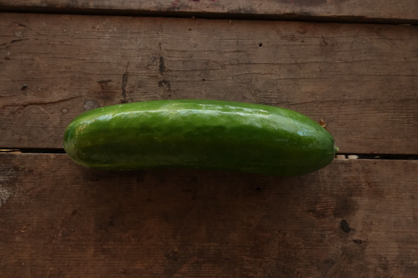 Thumbnail image for Cucumber