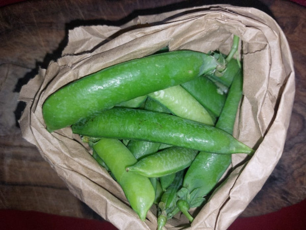 Thumbnail image for Garden Peas