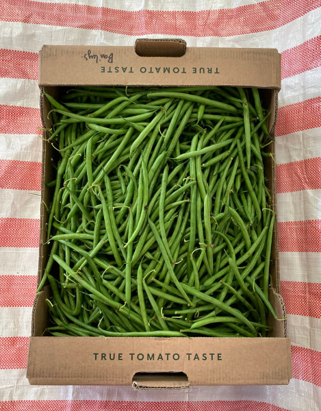 Thumbnail image for Green beans