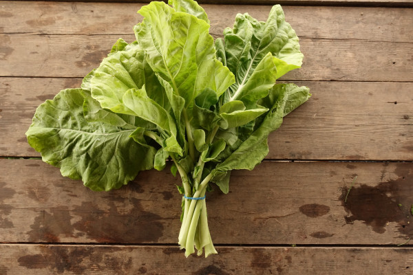 Thumbnail image for Spring Greens