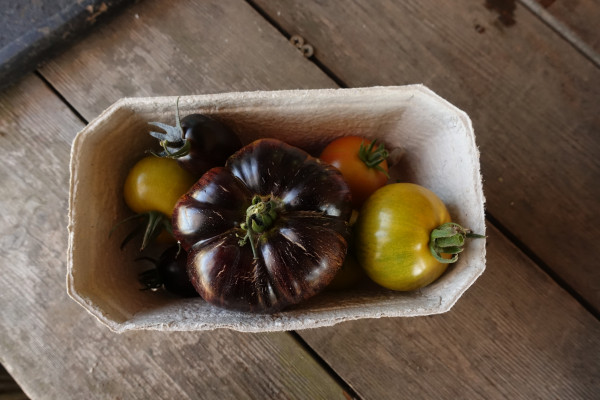 Thumbnail image for Tomatoes - Heritage mix