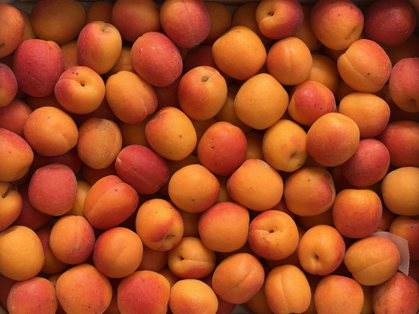 Thumbnail image for Apricots