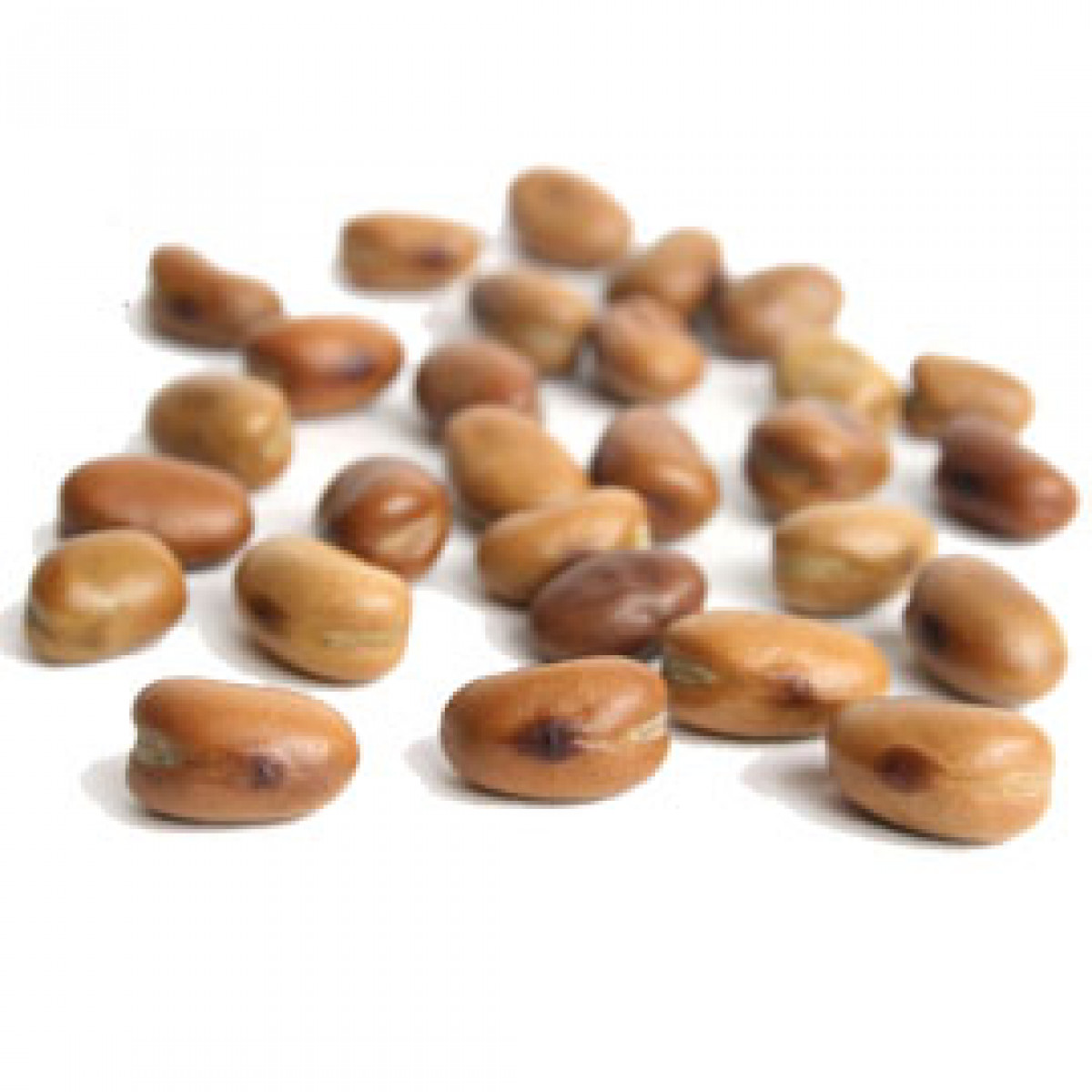 Product picture for Whole Dried Fava Beans