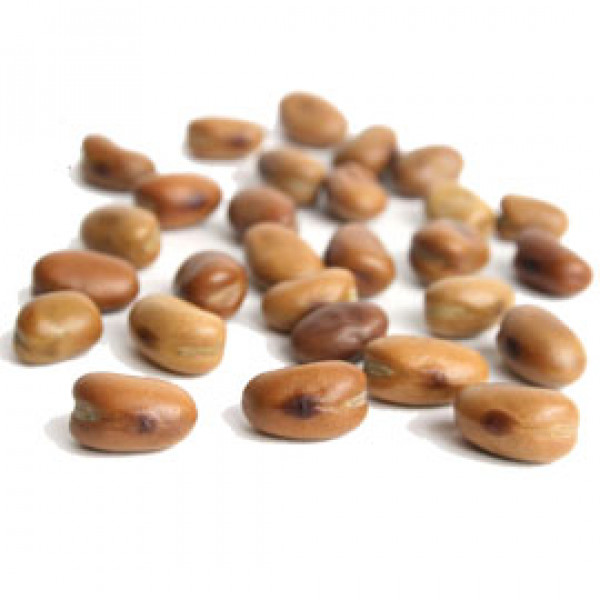 Thumbnail image for Whole Dried Fava Beans