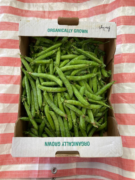 Thumbnail image for Sweet podded peas