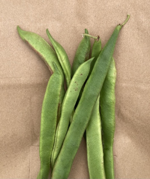 Thumbnail image for Runner Beans