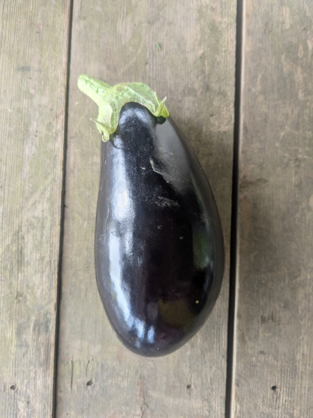Thumbnail image for Aubergines