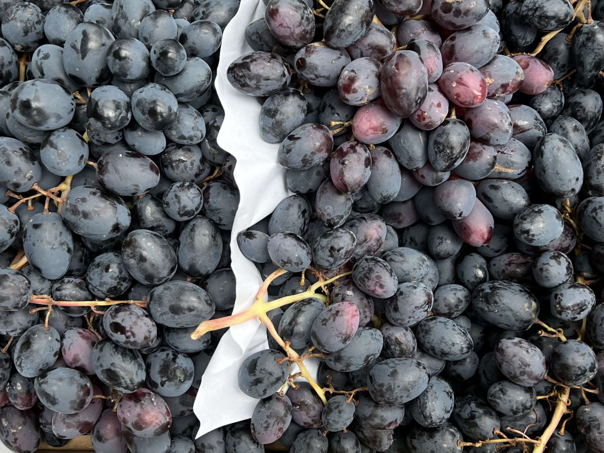 Product picture for Grape Black Seedless