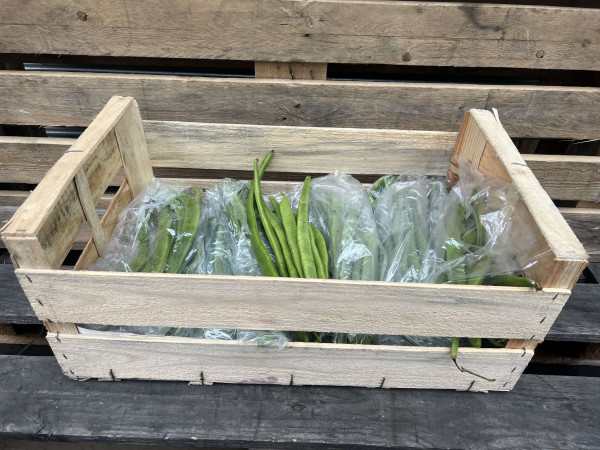 Thumbnail image for Runner Beans
