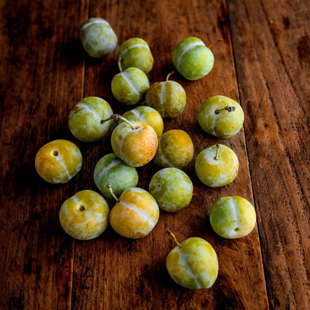 Product picture for Reine Claude Plums (Greengages)