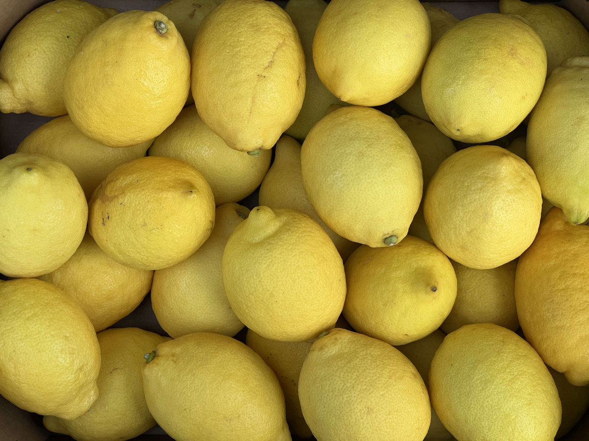Product picture for Lemons - Fino