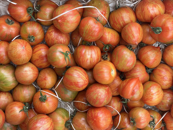 Thumbnail image for Tomatoes, Red Zebra
