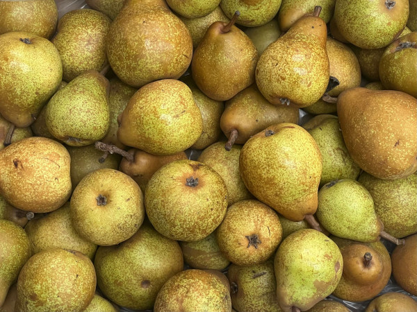 Thumbnail image for Pears - Merton Pride
