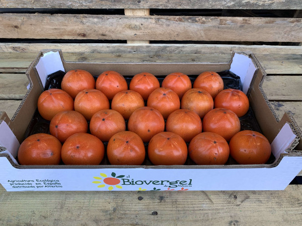 Thumbnail image for Kaki (Persimmon fruit)
