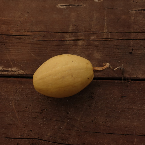 Thumbnail image for Squash, Winter - Spaghetti