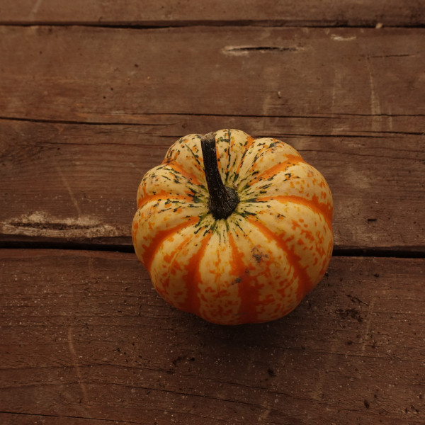 Thumbnail image for Squash, Winter - Celebration