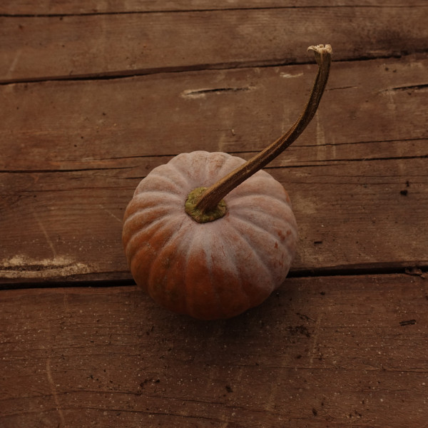 Thumbnail image for Squash, Winter - Black Futsu
